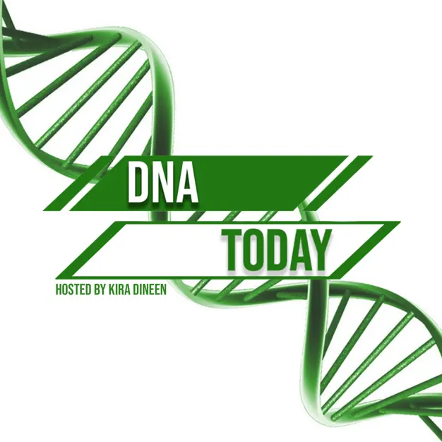 Interview to Dahlia Attia-Kind, Founder of Panacea, at DNA Today